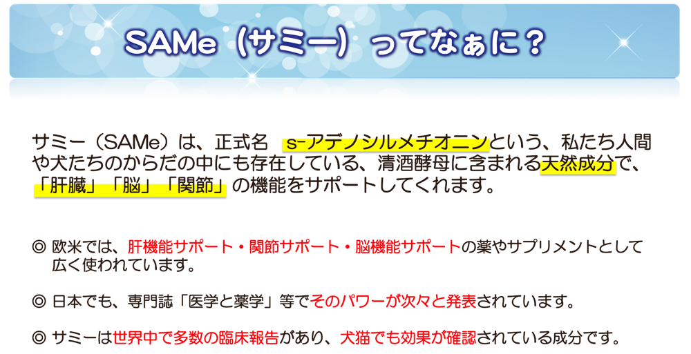 サミー(SAMe)は、正式名 s-アデノシルメチオニンという、私たち人間や犬たちのからだの中にも存在している、清酒酵母に含まれる天然成分で、「肝臓」「脳」「関節」の機能をサポートしてくれます。