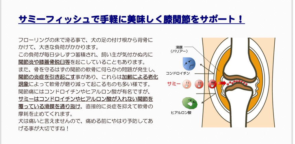 サミーフィッシュで手軽に美味しく膝関節をサポート!