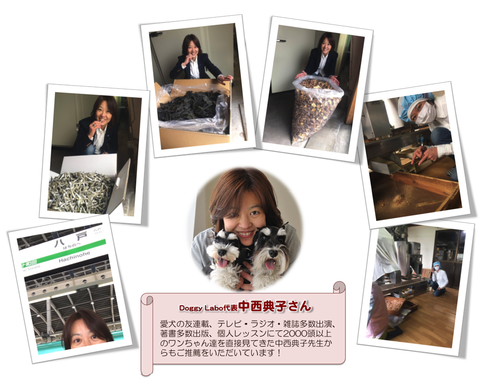 工場見学