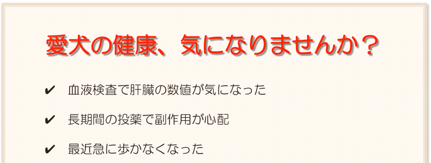 血液検査で肝臓の数値、長期間の投薬で副作用、急に歩かなくなった