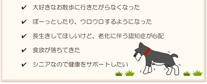 散歩に行きたがらなくなった、老化に伴う認知症が心配、