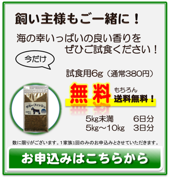 試食用6g申込