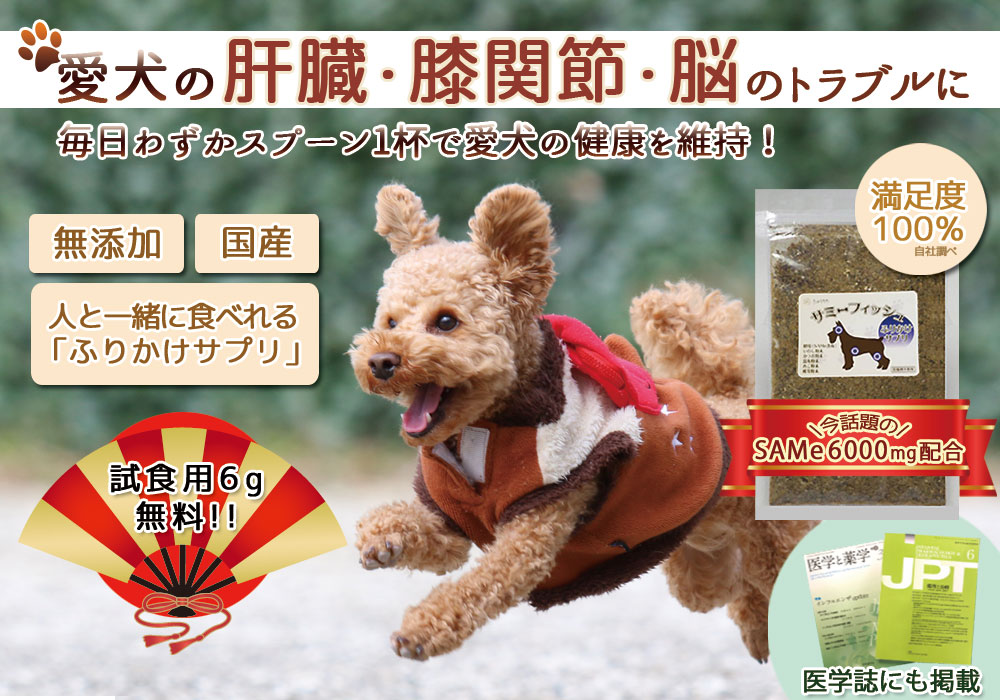 肝臓・膝関節・脳を強力サポート