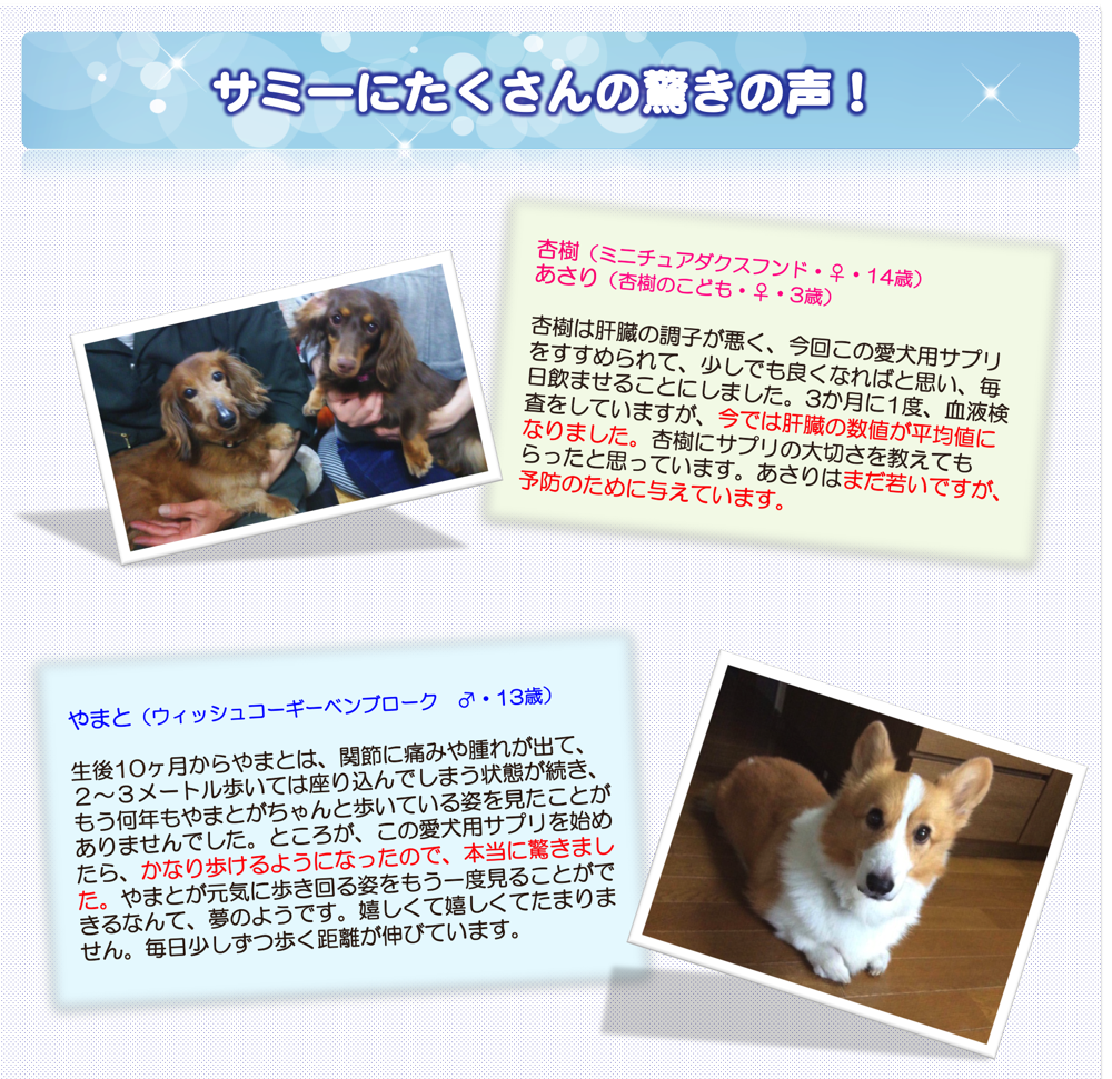 予防のために与えています。