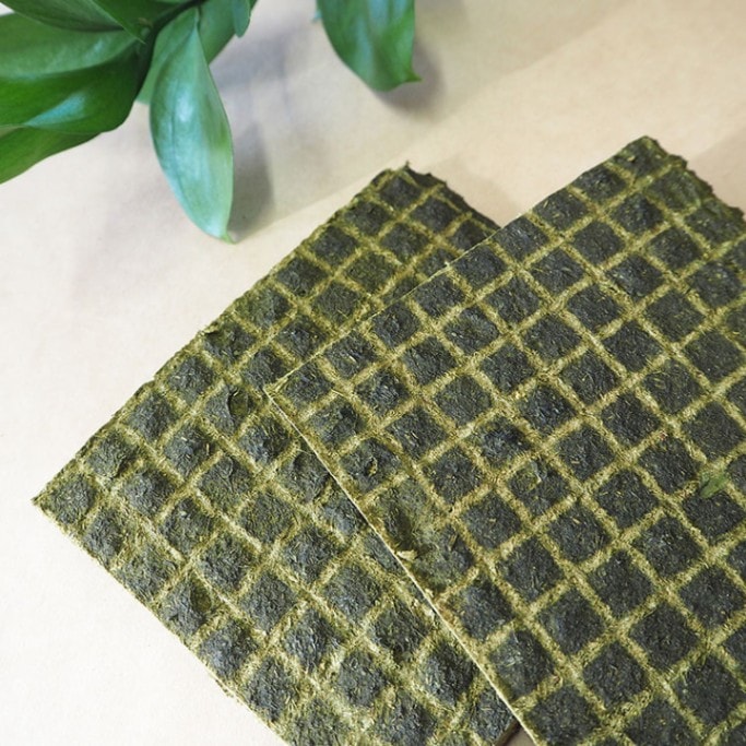 鹿トライプ（ドライ）