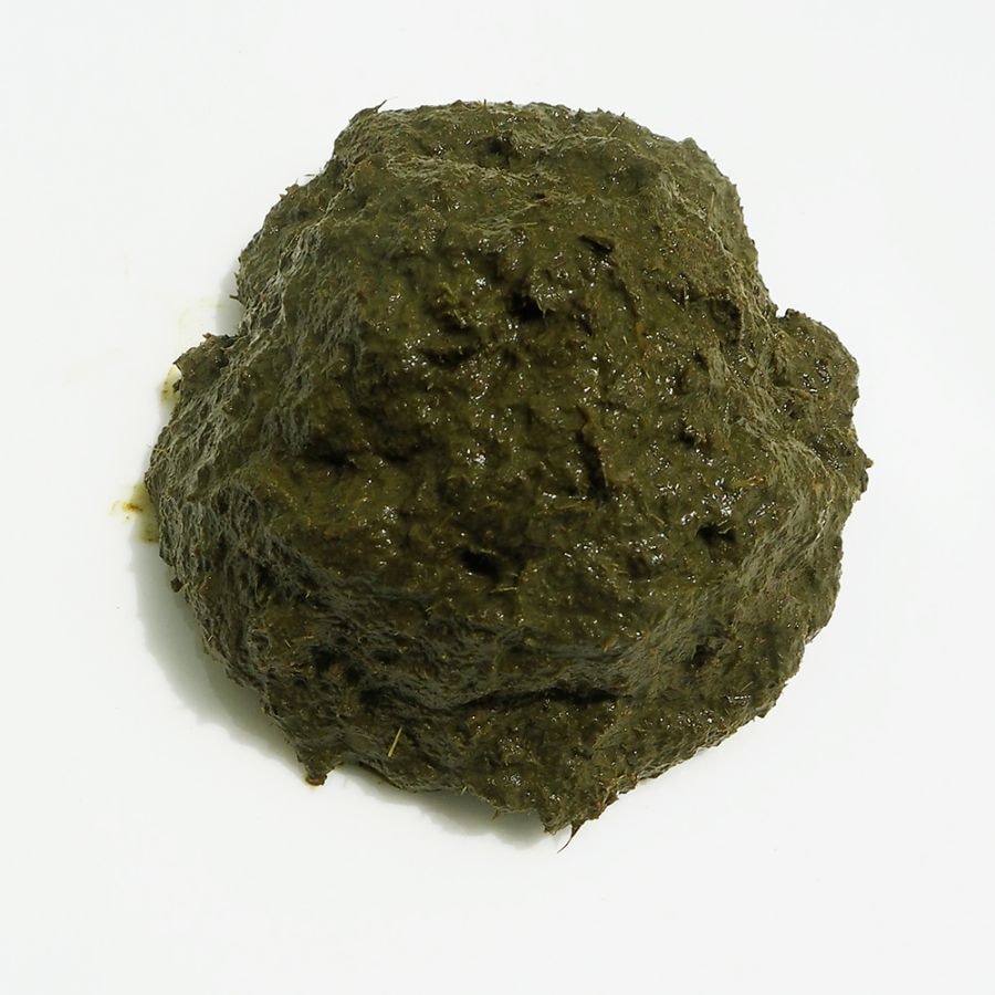 グリーン生トライプ（犬用）