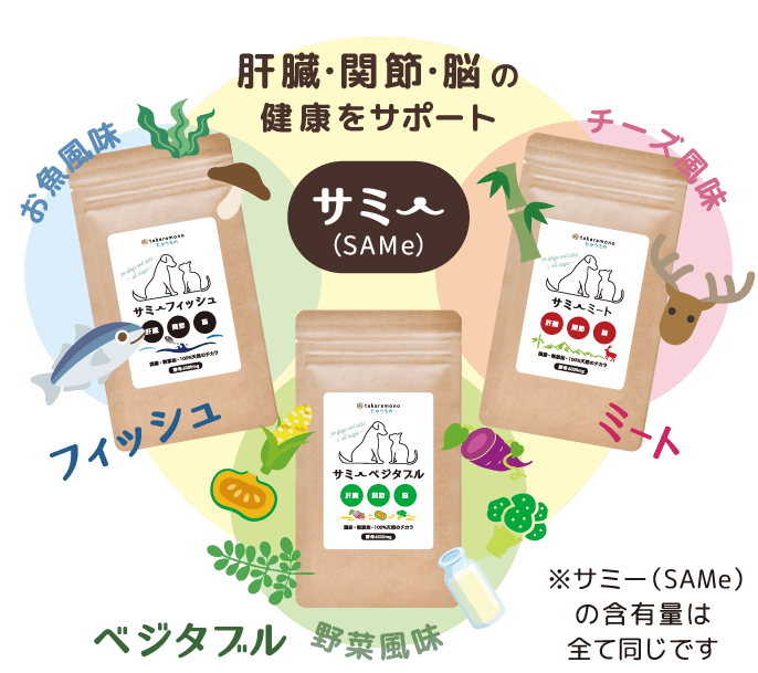 肝臓・関節・脳の健康をサポート