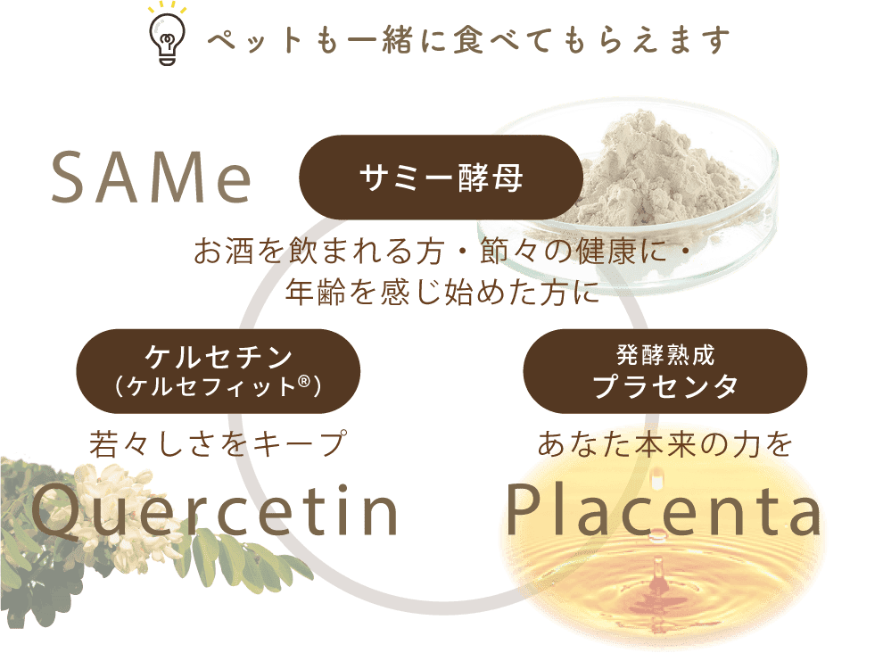 ３つのパワーで毎日の健康を強力サポート