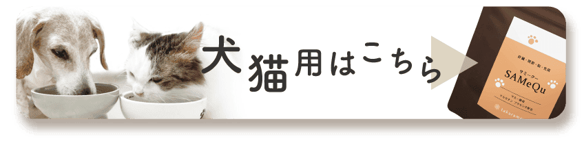犬猫用はこちらから
