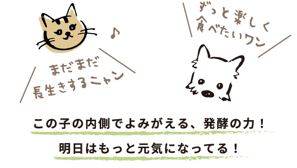 このこの内側でよみがえる、発光の力。明日はもっと元気になってる