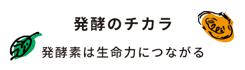 発酵のチカラ 発酵素は生命力につながる