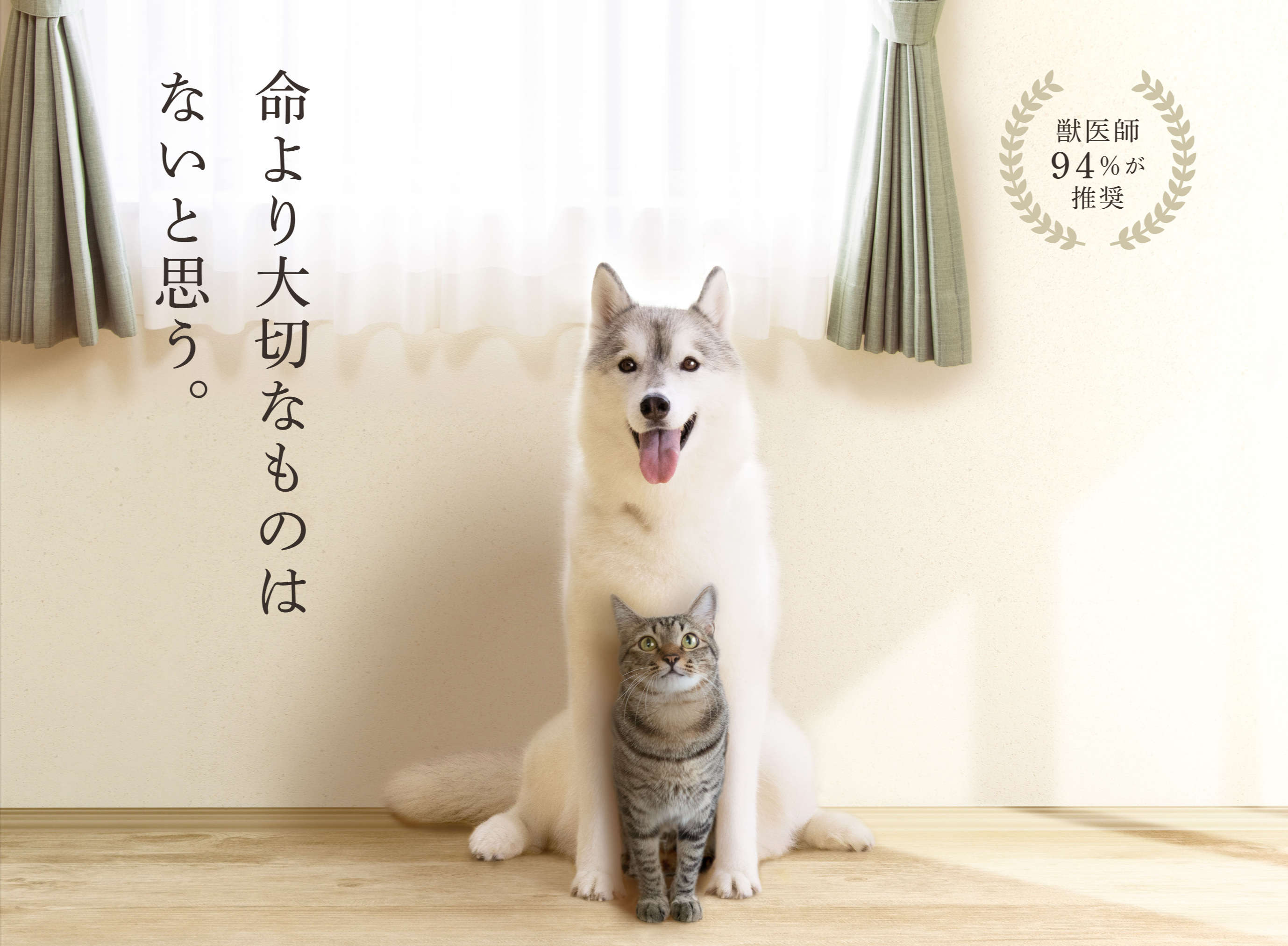サミーブランS - 【公式】サミーフィッシュの『たからもの