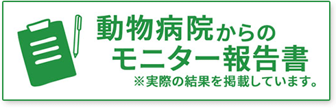 モニター報告書