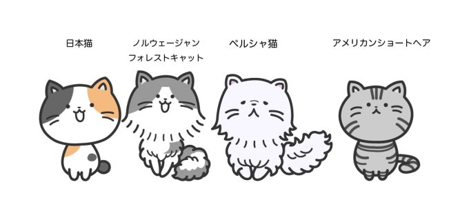 日本猫（雑種）ダブルコート